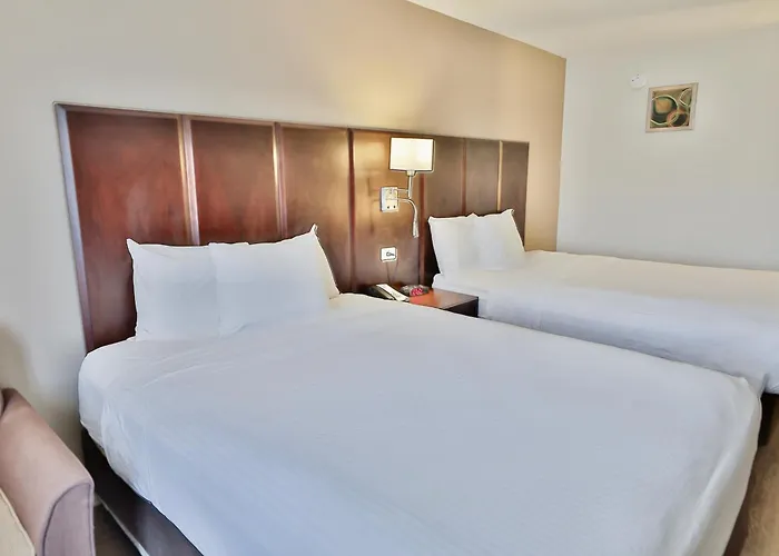 Hotel Baymont By Wyndham Airport